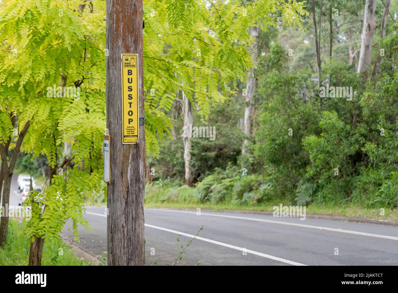 A simple black and yellow Bus Stop sign nailed to a timber power pole beside a road in the northern Sydney suburb of Normanhurst in Australia Stock Photo