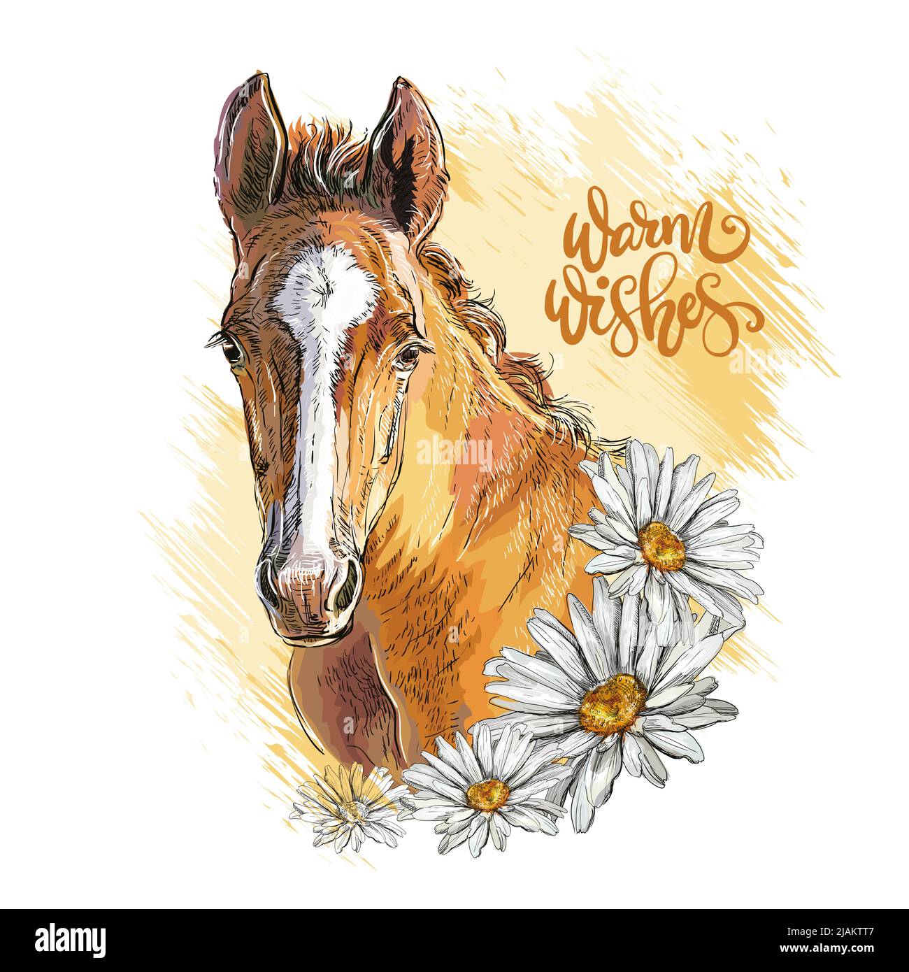 Cowboy Riding Horse Cut Out Stock Images Pictures Alamy