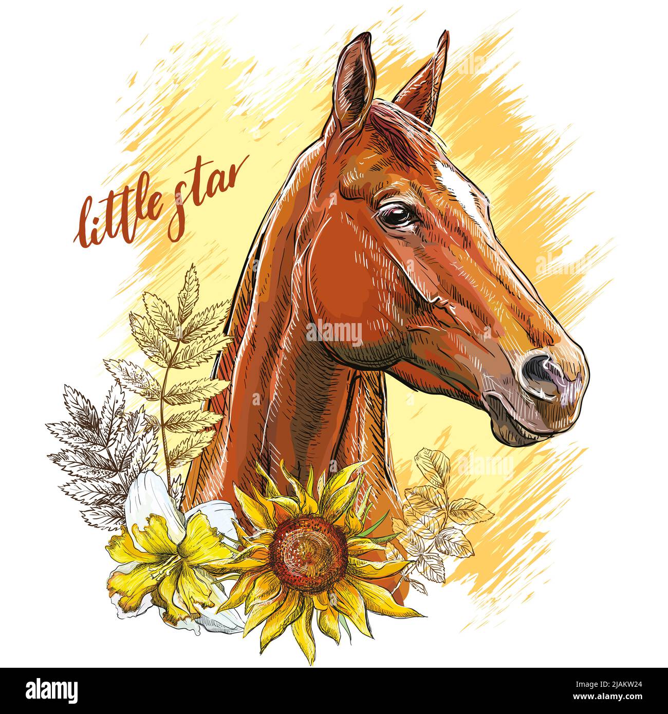 Cowboy Riding Horse Cut Out Stock Images Pictures Alamy