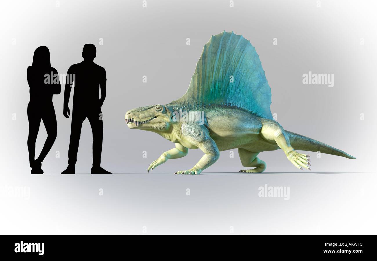 Artwork of humans compared to Dimetrodon Stock Photo