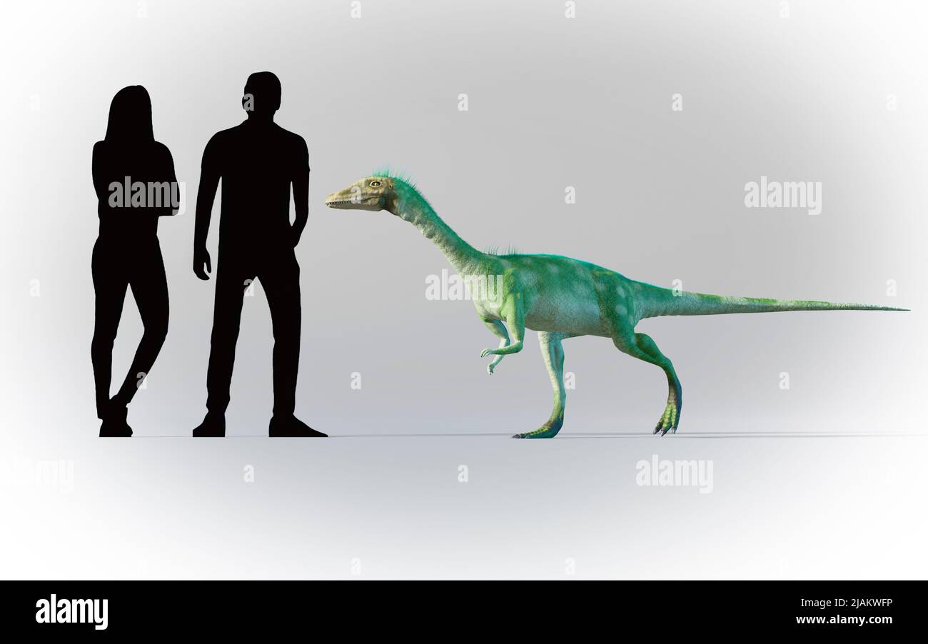 Humans compared in scale to Nyasasauru Stock Photo