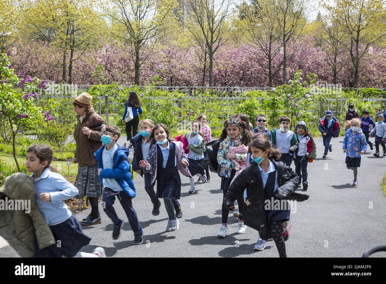 School class enjoy a spring field trip to the Brooklyn Botanic Garden in Brooklyn, New York. Stock Photo