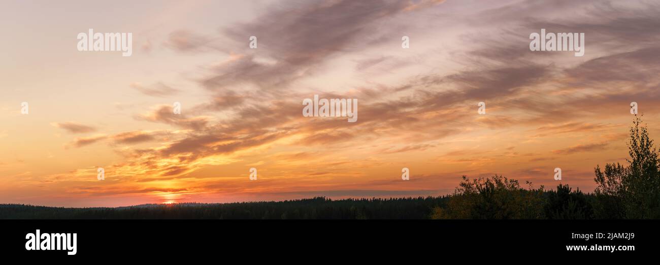 Setting sun over distant forest. Sunset over horizon long panoramic view Stock Photo