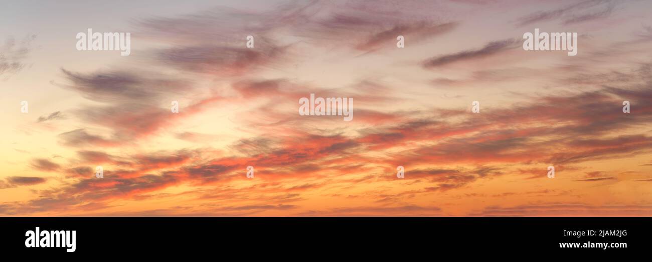 Colored sunset clouds in the sky. Natural panoramic texture and ...