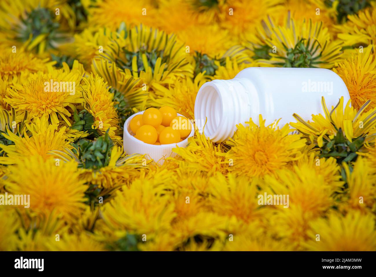 Vitamins in dandelions. A bottle with yellow pills in dandelion flowers, close-up Stock Photo