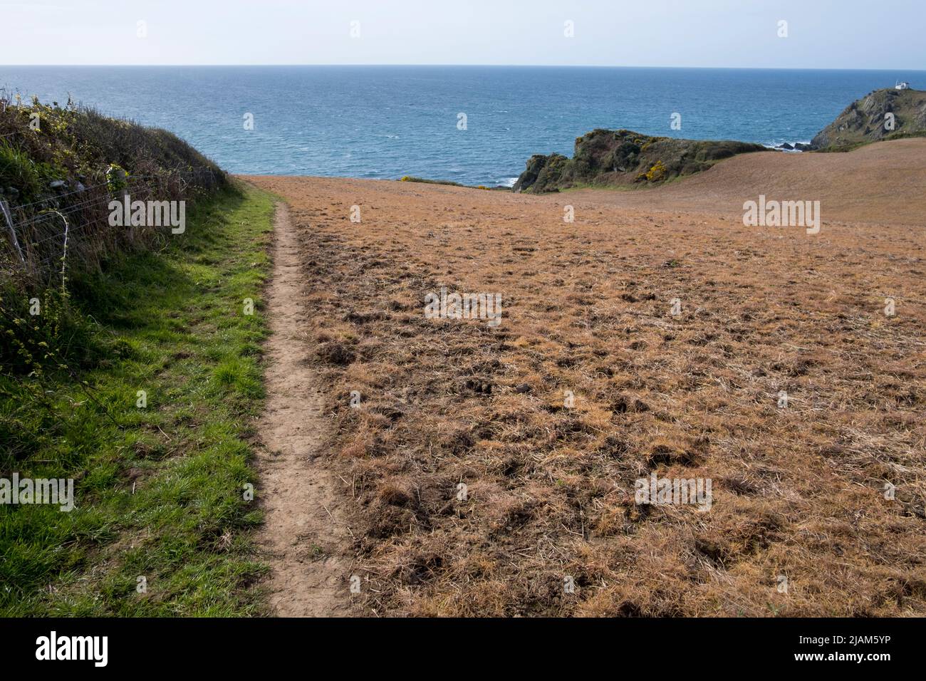 Edge of the field near the sea, showing where farmer has applied weedkiller to the right of the path Stock Photo