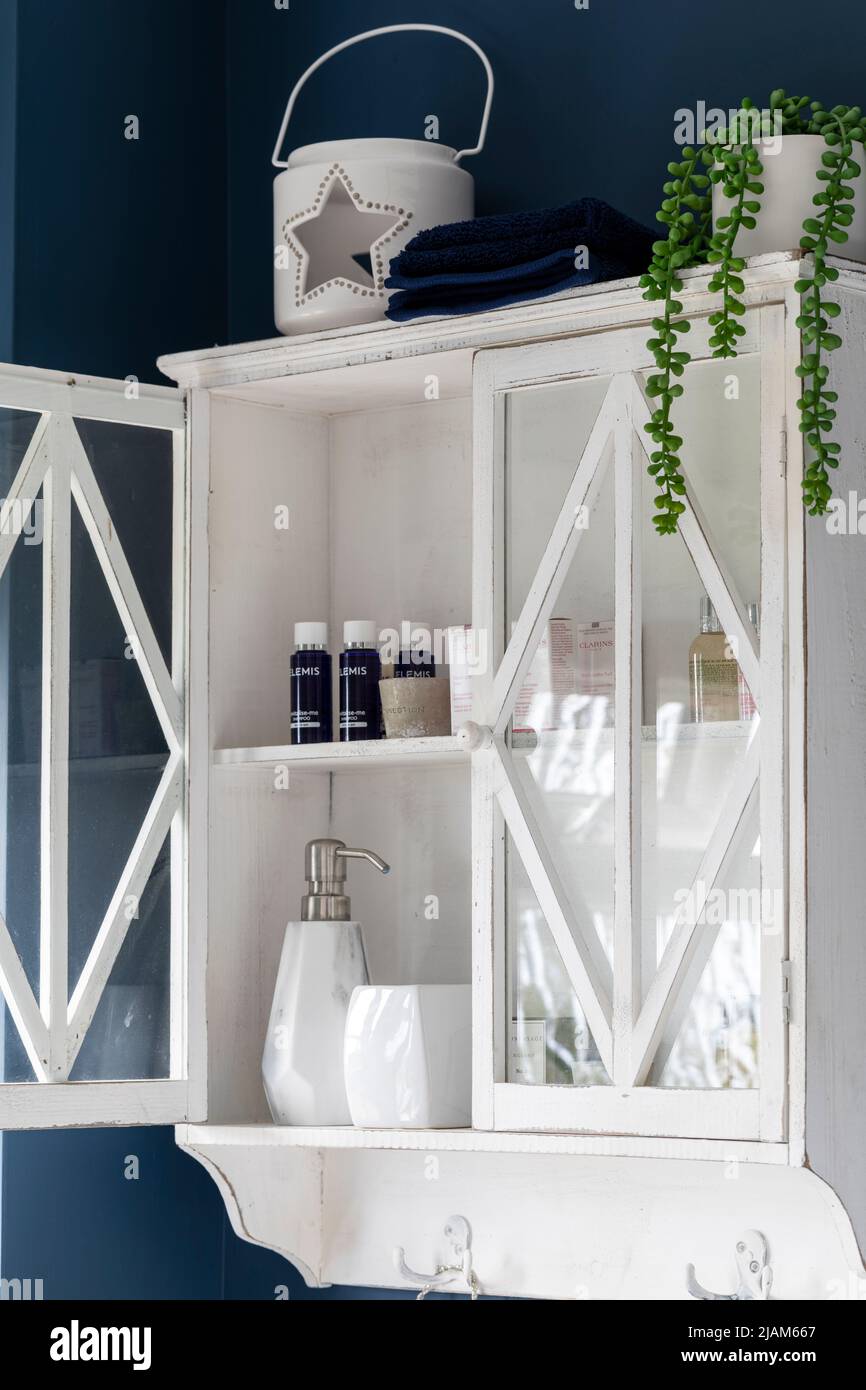 Bathroom repurposed vintage wooden glass fronted cupboard