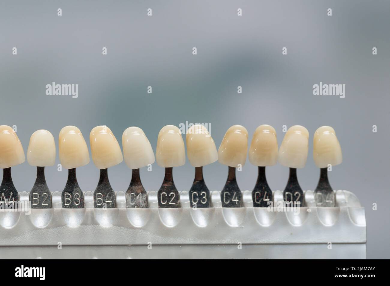 closeup of a shade guide to check veneer of tooth crown or implant in