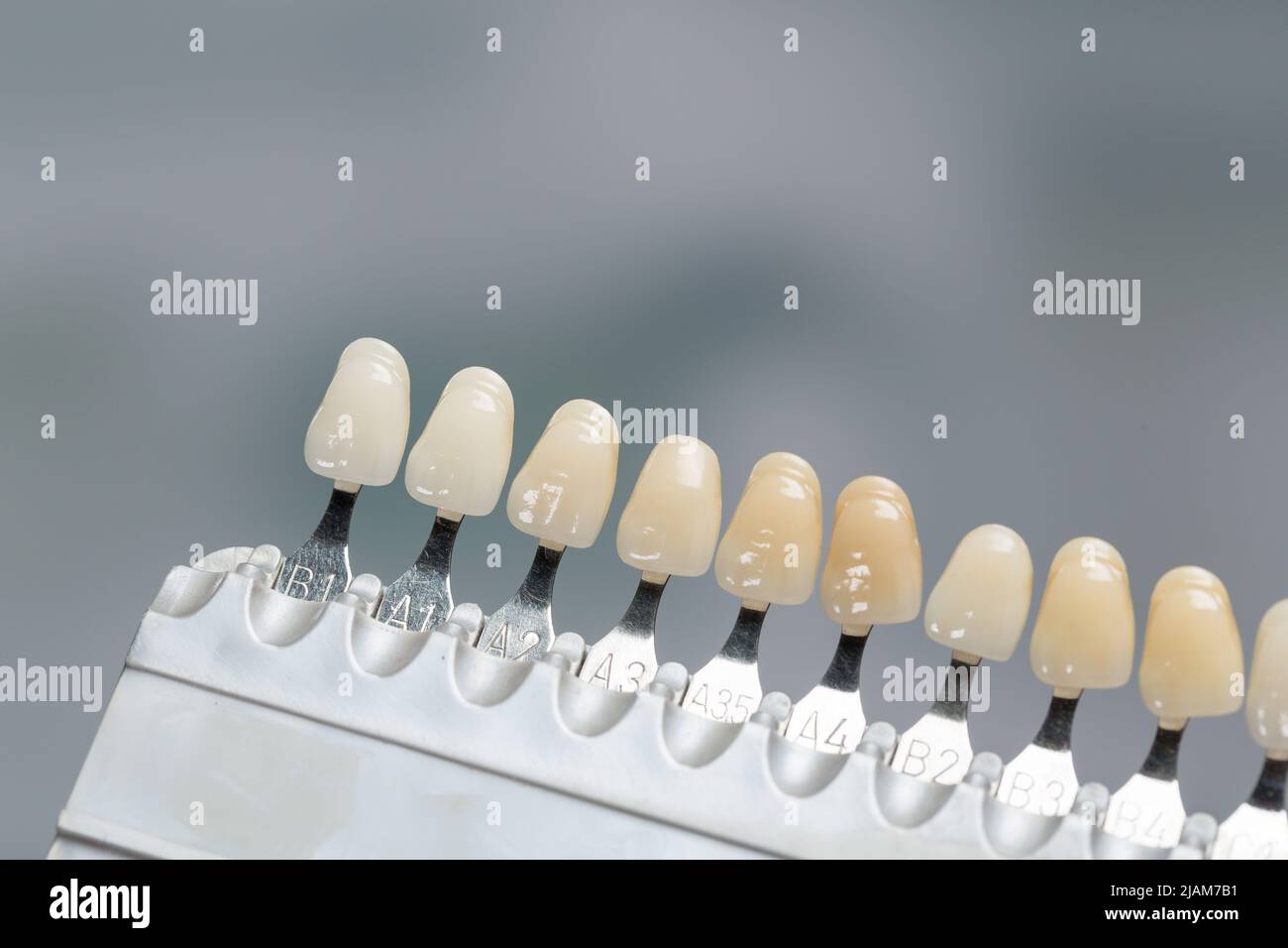 close-up of a shade guide to check veneer of tooth crown or implant in