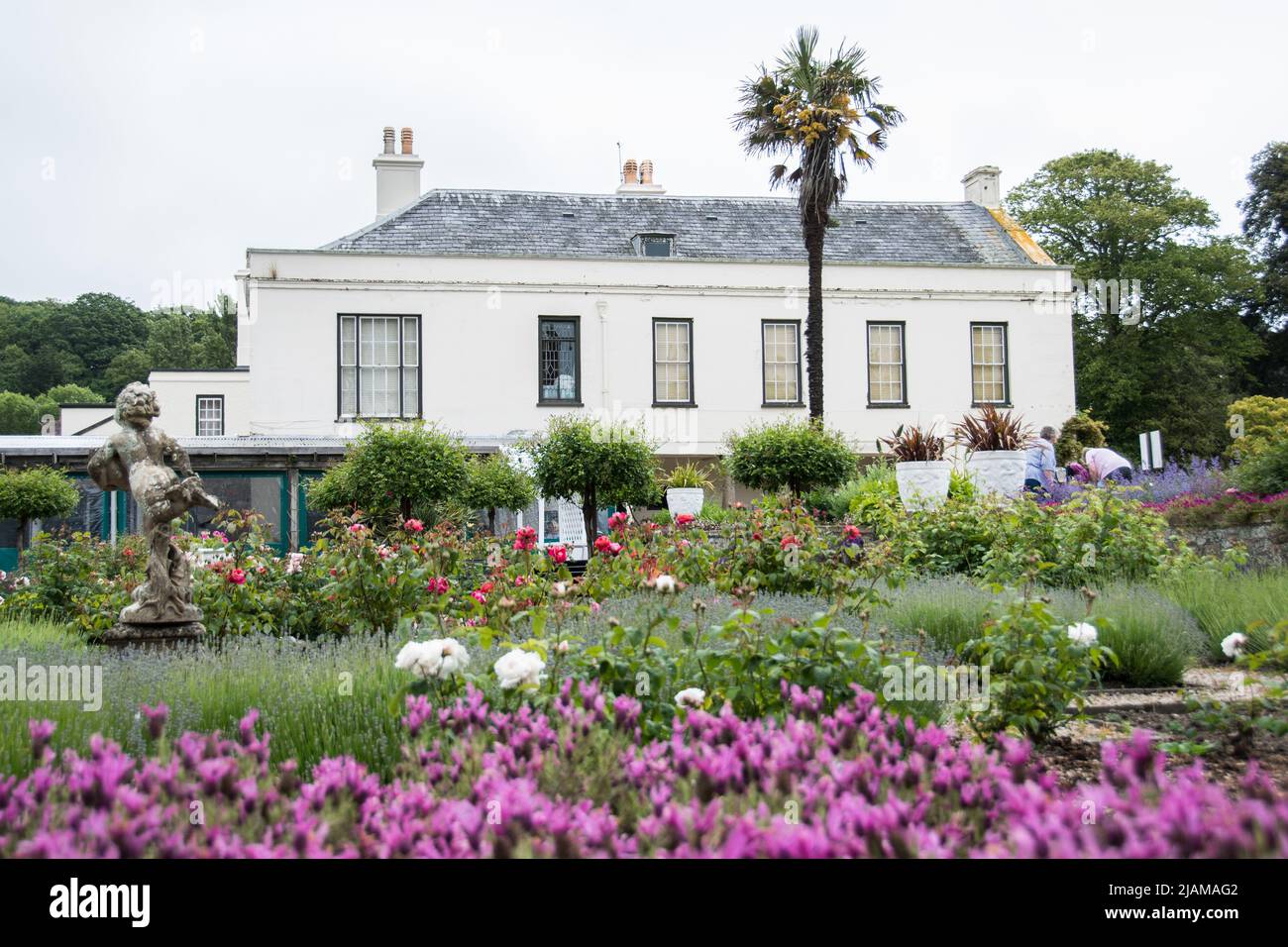 Nature and Landscapes Jersey Channel Island Stock Photo Alamy