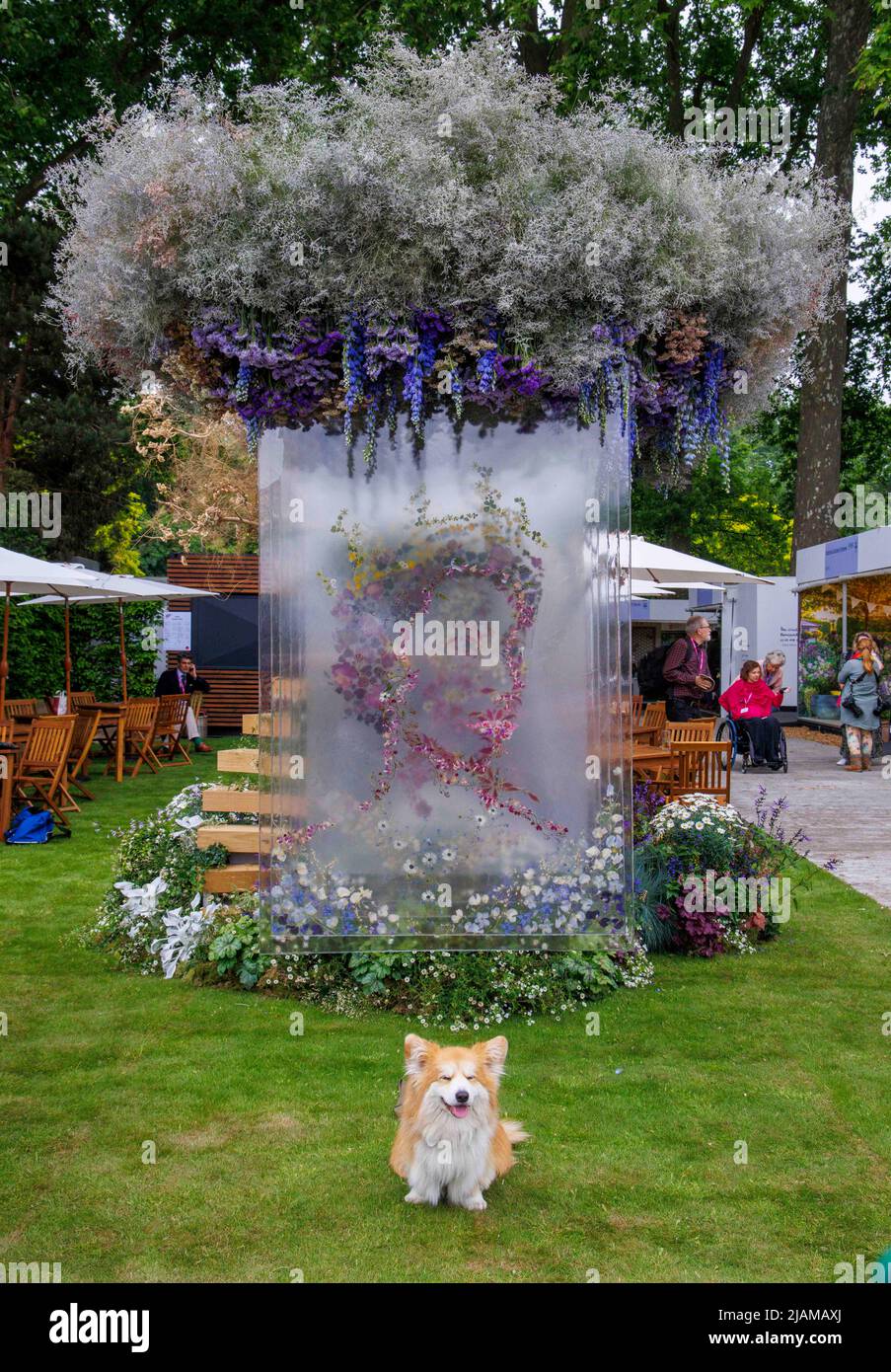 Celebrating the Queen's love for nature, an installation by floral designers Veevers Carter features a canopy of flowers including  Delphiniums. Stock Photo