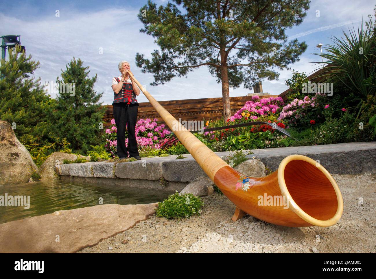 An Alphorn player in traditional Swiss attire in A Swiss Sanctuary show garden at the Chelsea Flower Show. Stock Photo