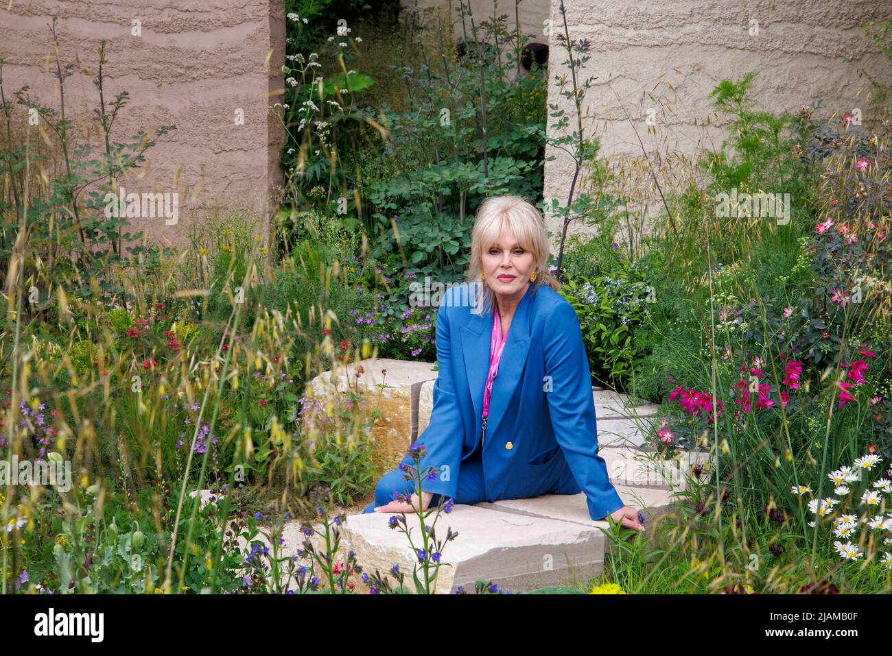 Dame Joanna Lumley, actress model and activist, at the RHS Chelsea Flower Show. She is a National Treasure. Stock Photo