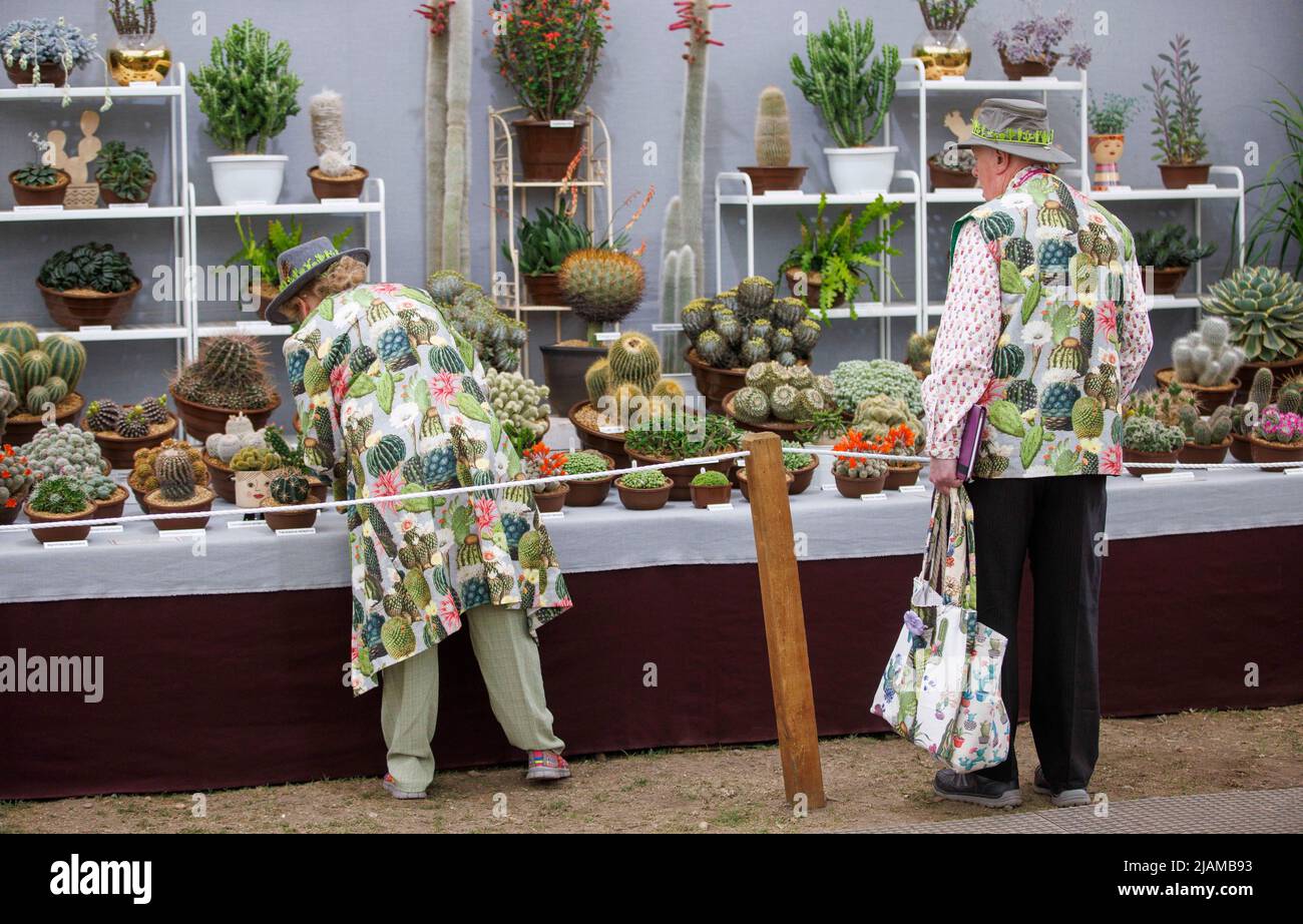 A couple wearing suits covered with pictures of Cactuses study a Cactus Exhibit at the RHS Chelsea Flower Show. Stock Photo