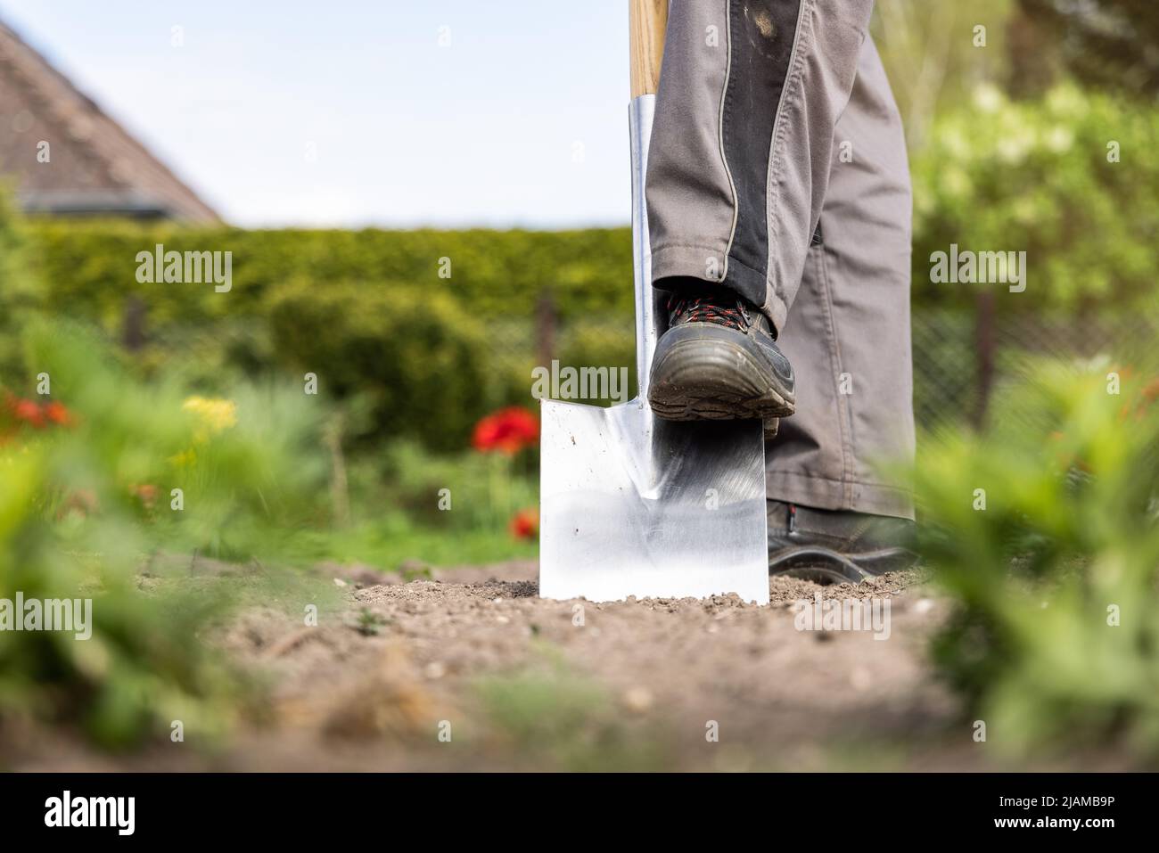 Soil plant hi-res stock photography and images - Alamy