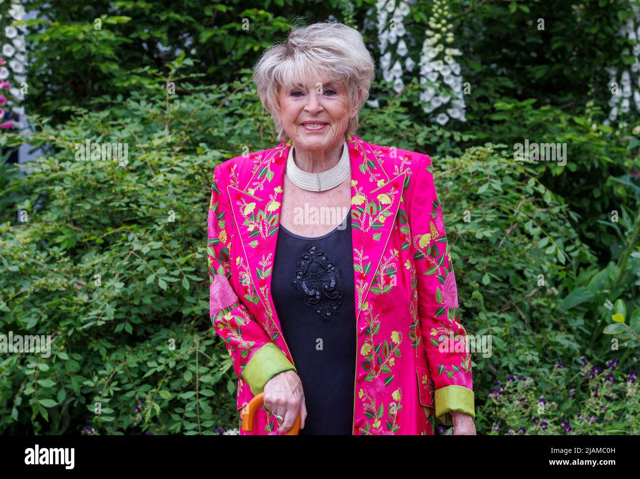 Gloria Hunniford, Northern Irish television and radio presenter, at the RHS Chelsea Flower Show. Stock Photo