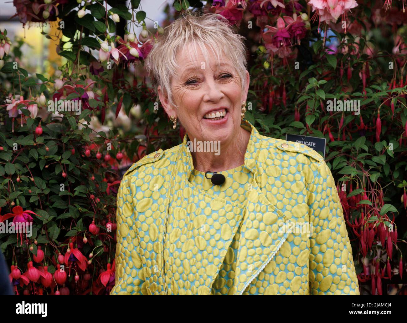 Carol Klein, Gardener, television presenter and newspaper writer, at the RHS Chelsea Flower Show, Stock Photo