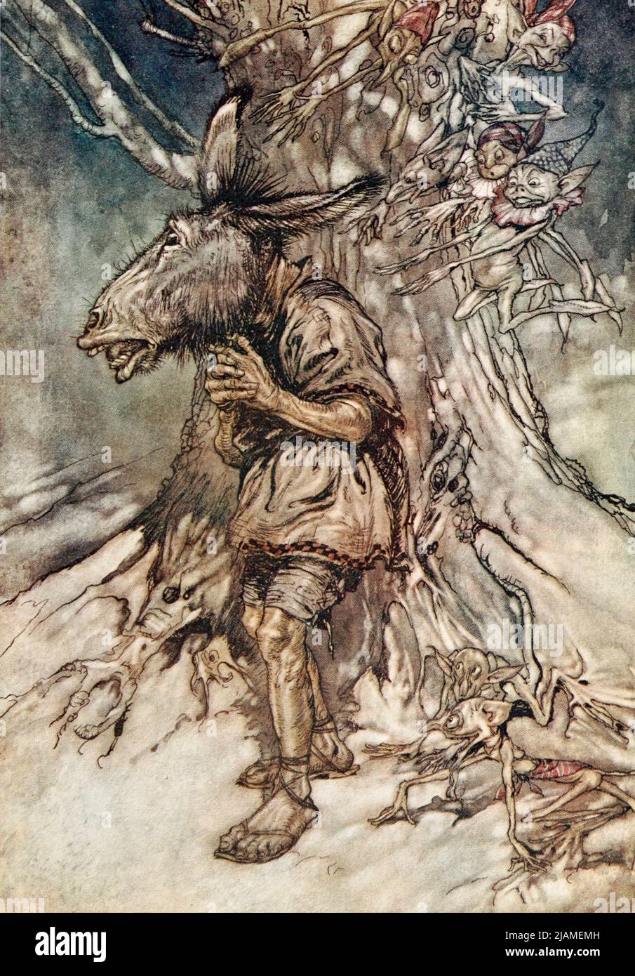 I will sing, that they shall hear I am not afraid from ' A midsummer night's dream ' by William Shakespeare, 1564-1616; Illustrated by Arthur Rackham, 1867-1939 Publication date 1908 Publisher London, Heinemann; New York, Doubleday, Page & Co Stock Photo