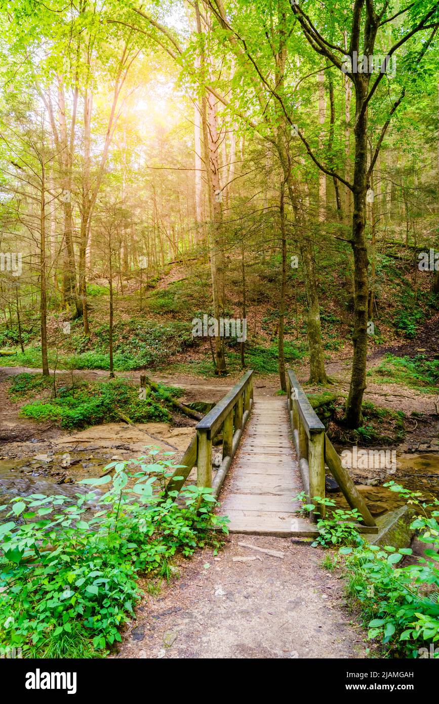 Footbridge over a creek on a hiking trail in Red River Gorge, Kentucky Stock Photo