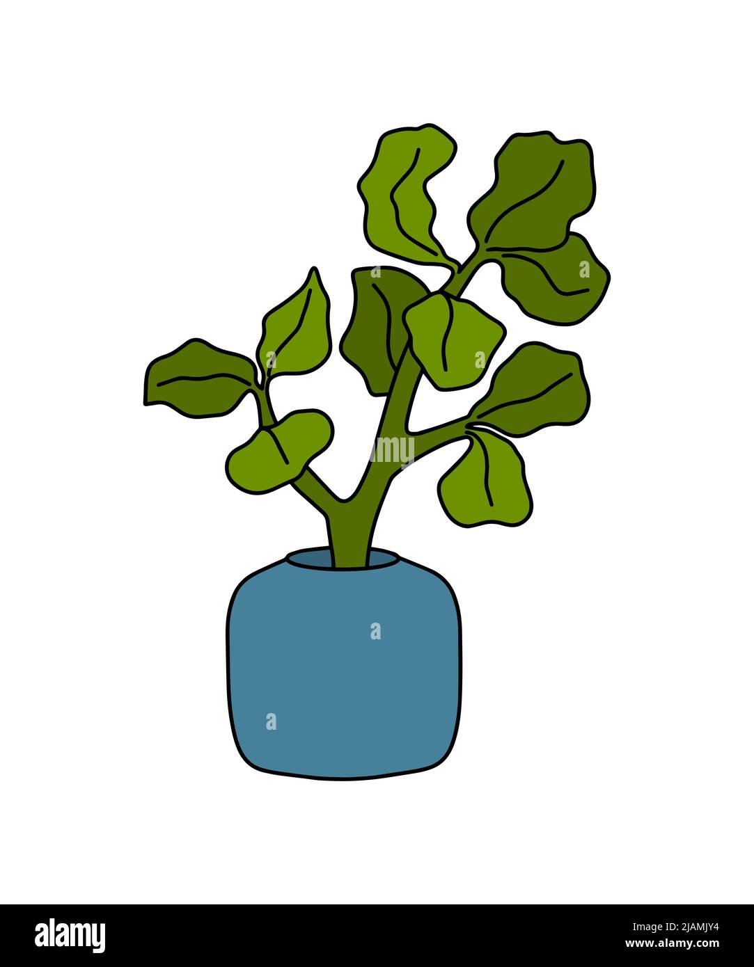 Flowerpot vector hand drawn line art. Houseplants. Flowers in pots