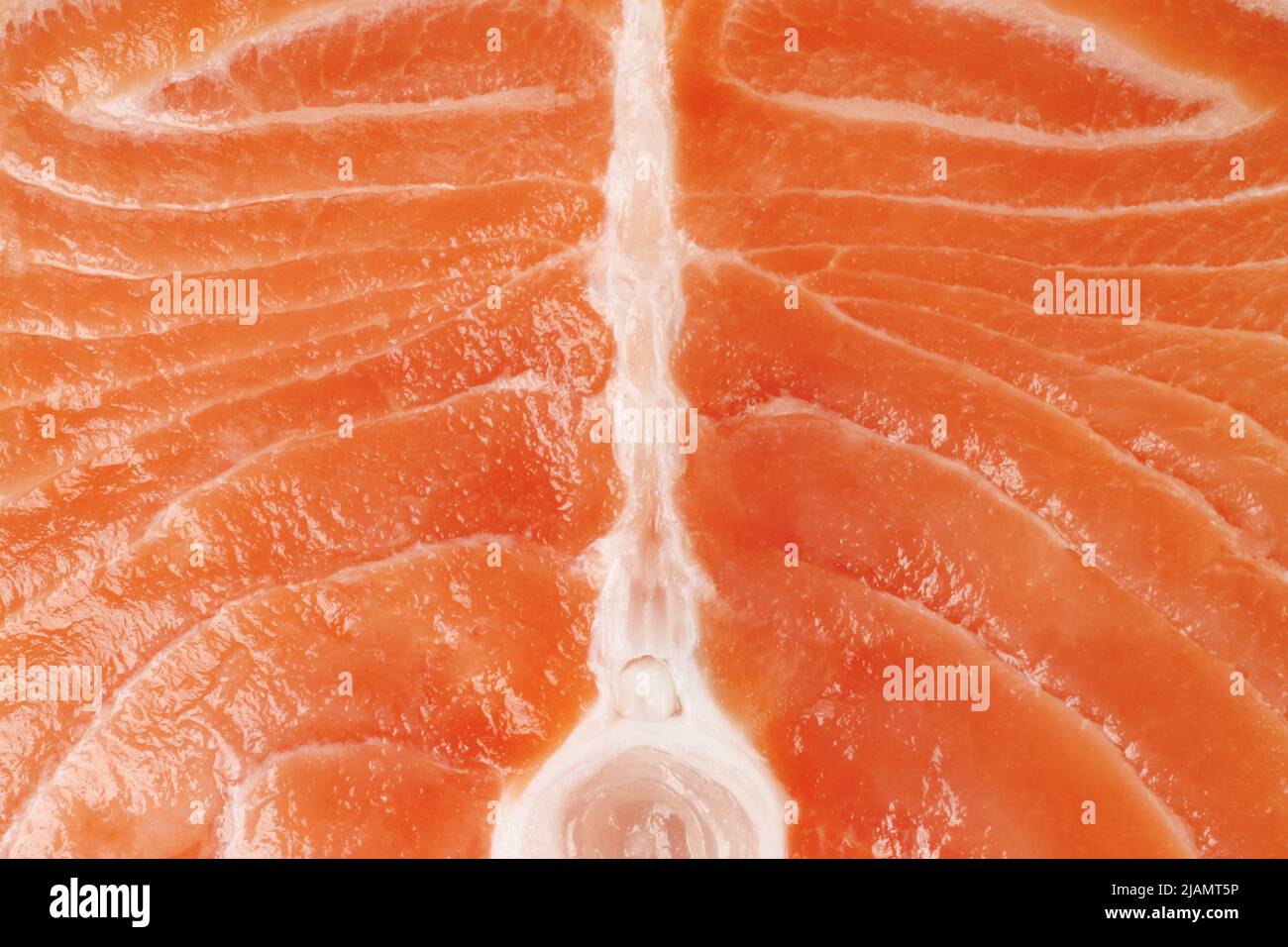 Fresh raw Salmon texture background close-up Stock Photo