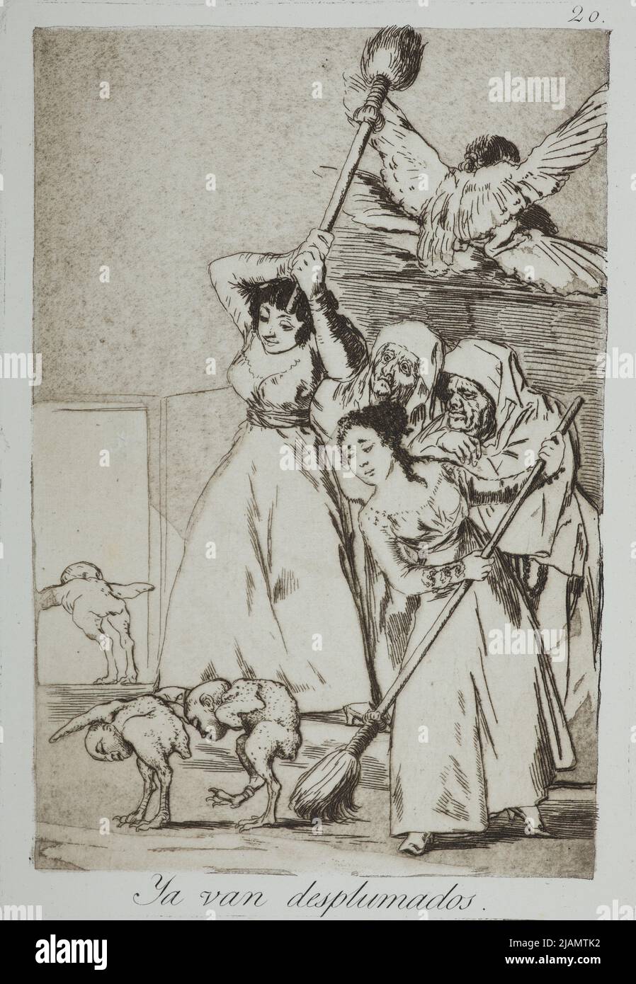 Ya van desplumados hires stock photography and images Alamy