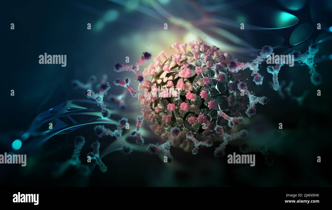 Antibodies attack virus. Body's immune defenses. Development of a vaccine against virus. Modern scientific research in microbiology Stock Photo