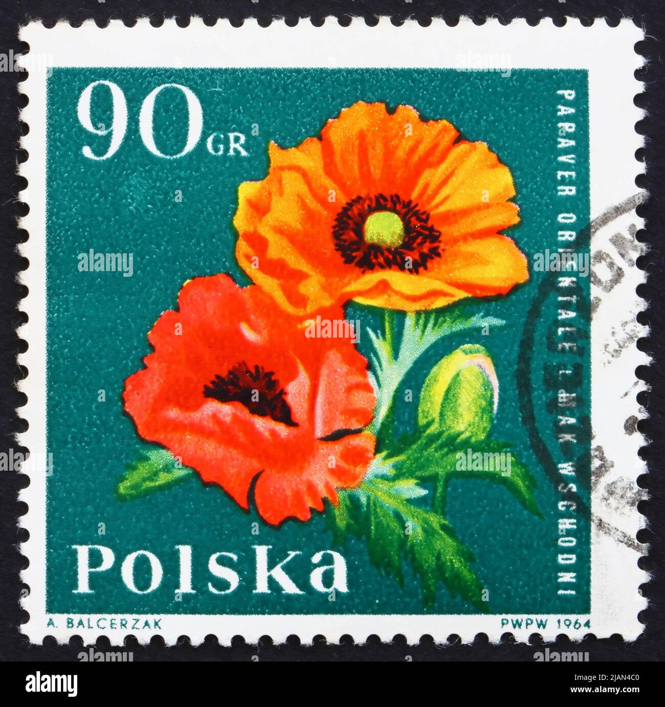 POLAND - CIRCA 1964: a stamp printed in the Poland shows Oriental Poppy, Garden Flower, circa 1964 Stock Photo