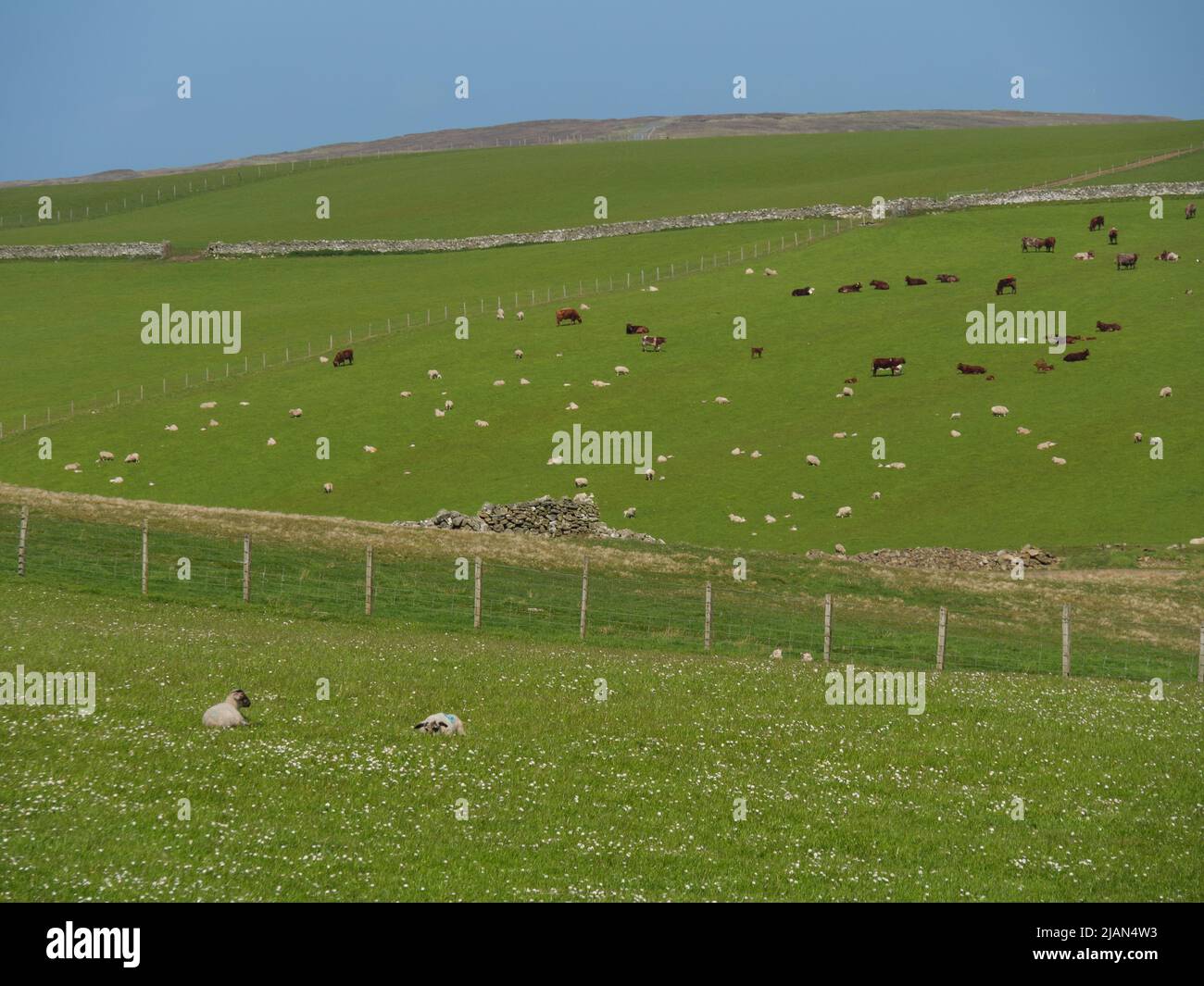 the city of Lerwick and the shetland island Stock Photo