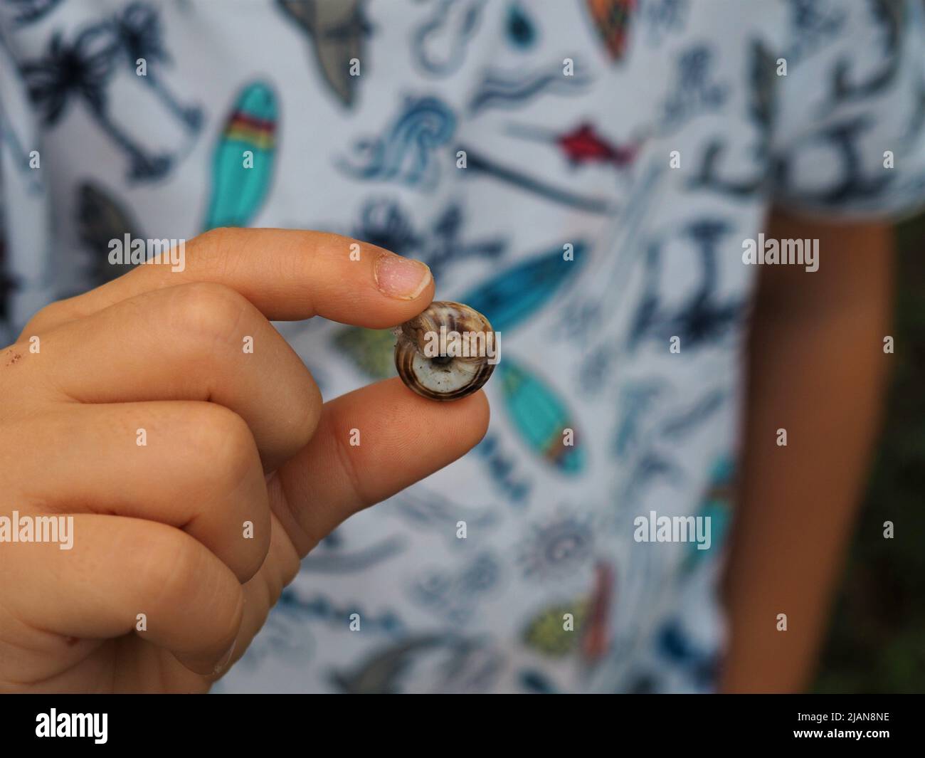 Child holding a snail hi-res stock photography and images - Alamy