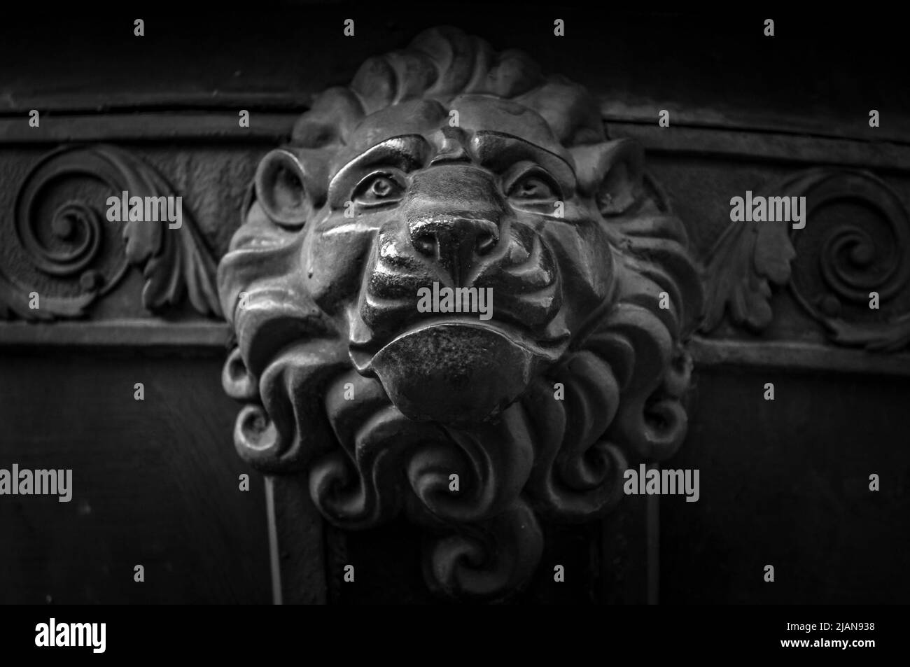 Old metal lion head decoration. Architecture detail of vintage door. Lion face knob closeup. Animal head at entrance of house Stock Photo