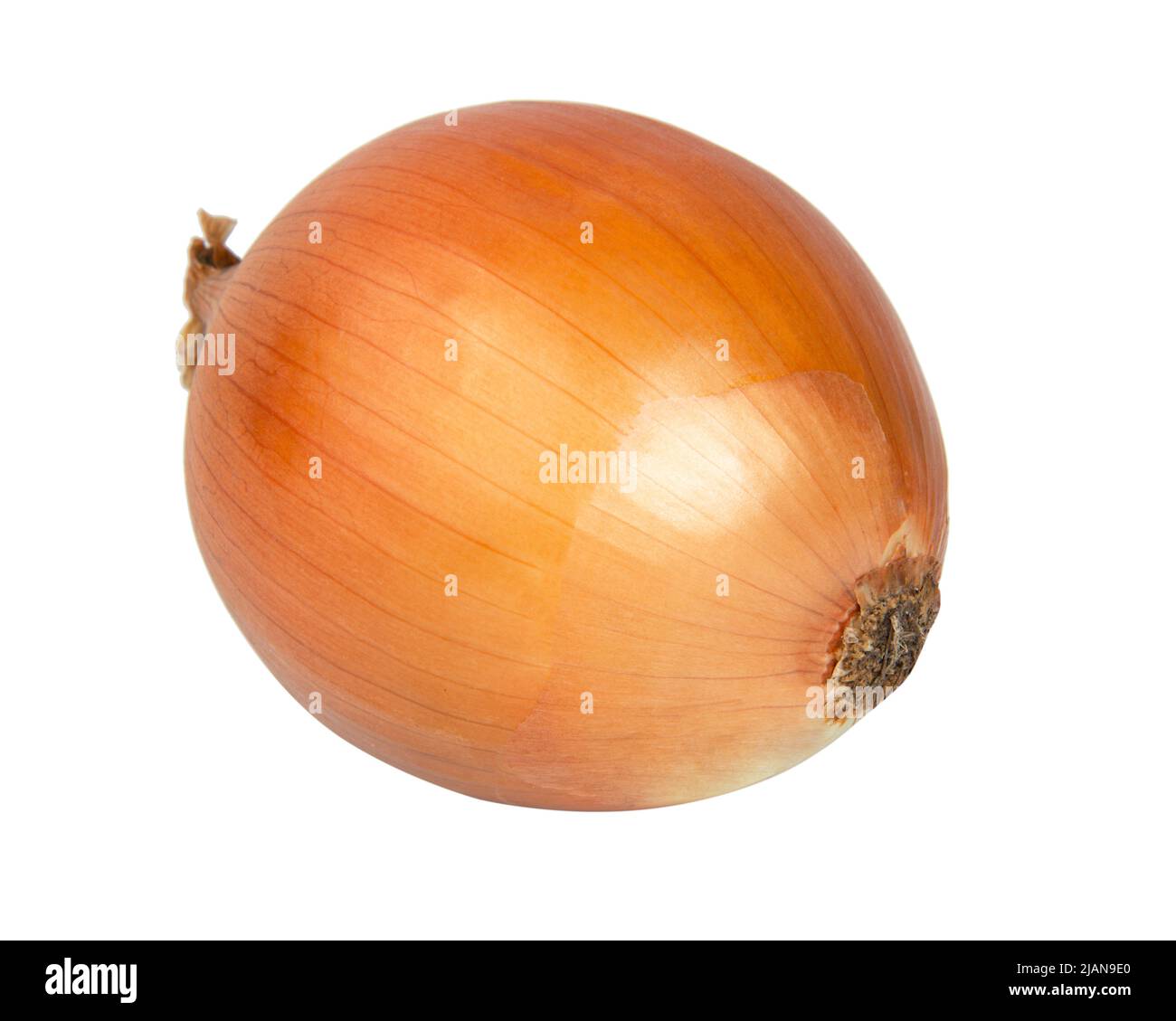 Onion whole cut rings hi-res stock photography and images - Alamy
