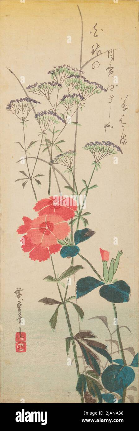 Dark pink carnations and wildflowers /Nadeshiko, fujibakama Stock Photo