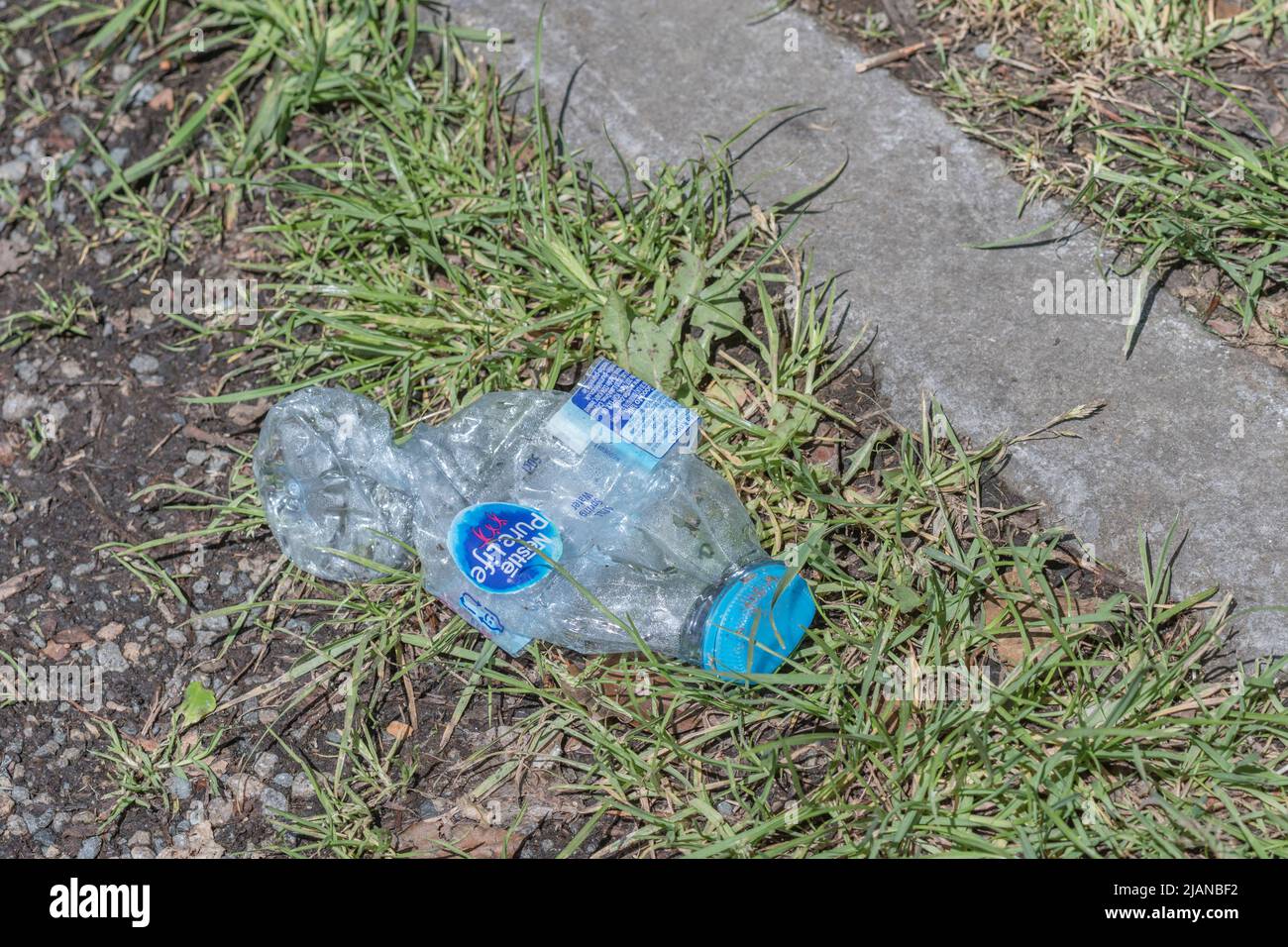 Crushed empty bottle of Nestlé Pure Life bottled water at side of rural country road. For environmental plastic pollution, single use plastics. Stock Photo