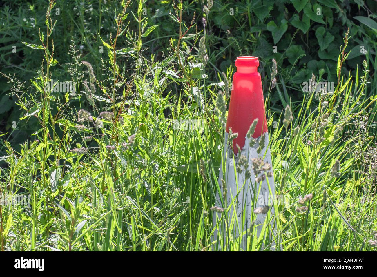 Orange and white road cone engulfed by weeds and grass on country roadside verge. Metaphor roadworks, men at work, traffic delays, forgotten. Stock Photo