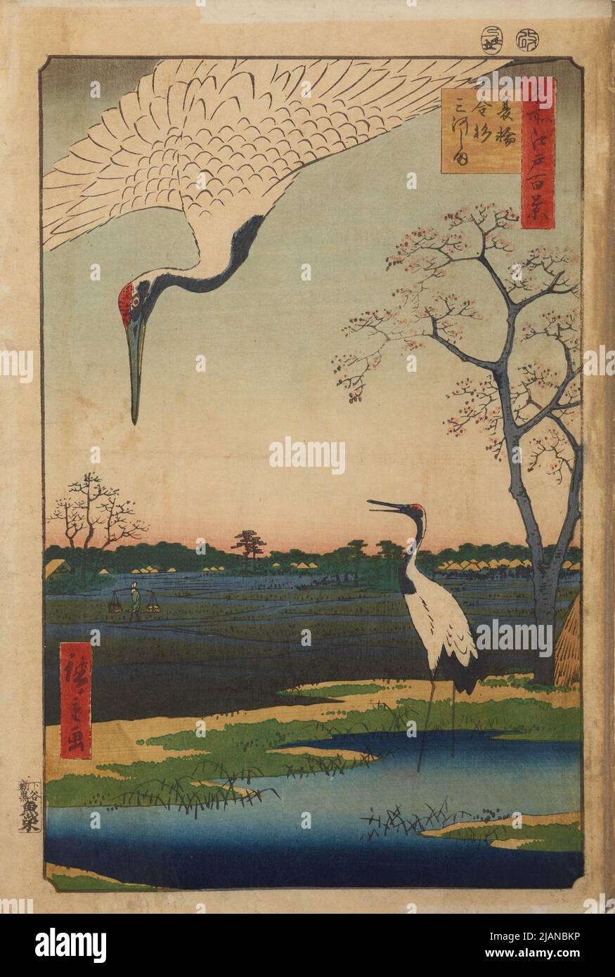 Edo Rice Fields Two cranes over the a fields of rice /Minowa , Kanasugi Mikawashima ...