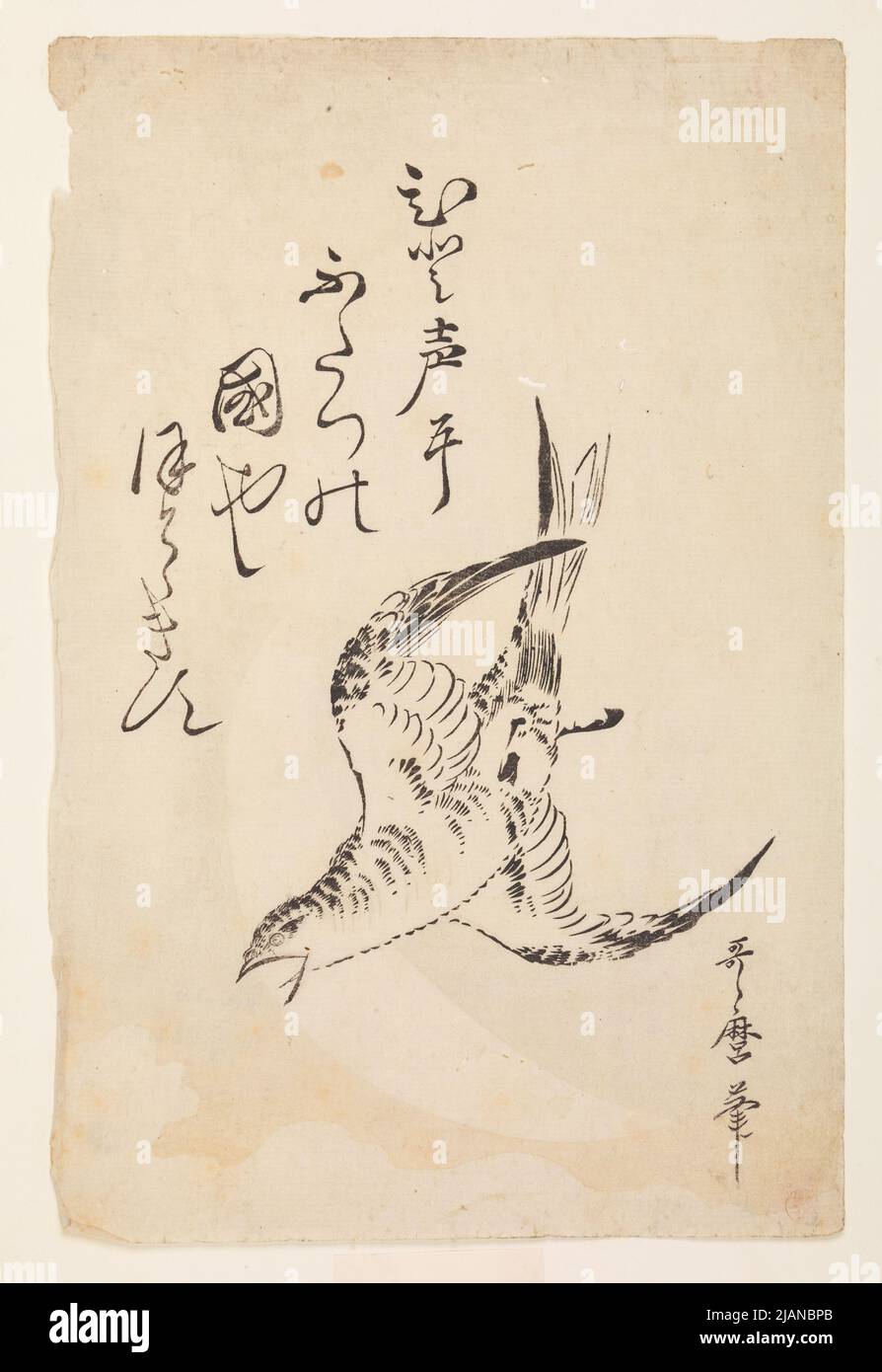 Swallow in fIIght KITAGAWA, UTAMARO (1753 1806) Stock Photo