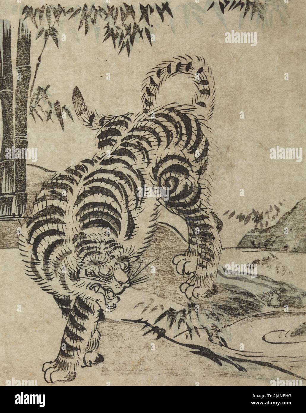 Tiger at the a stream KITAGAWA, UTAMARO (1753 1806) Stock Photo