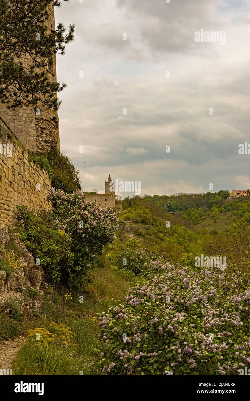Castle Rudelsburg ruin view from Castle Saaleck in spring Stock Photo