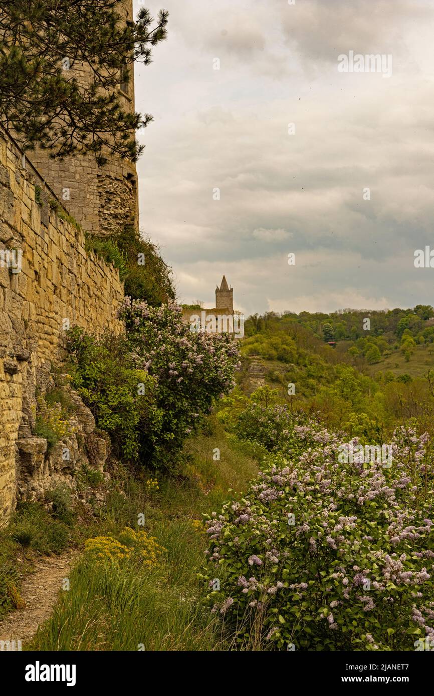 Castle Rudelsburg ruin view from Castle Saaleck in spring Stock Photo