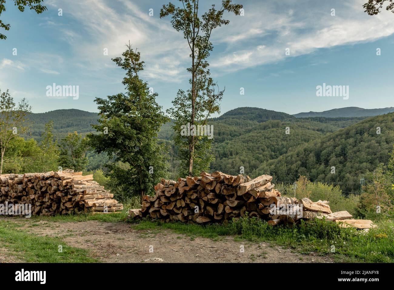 Pile cut logs lumberjacks hi-res stock photography and images - Alamy