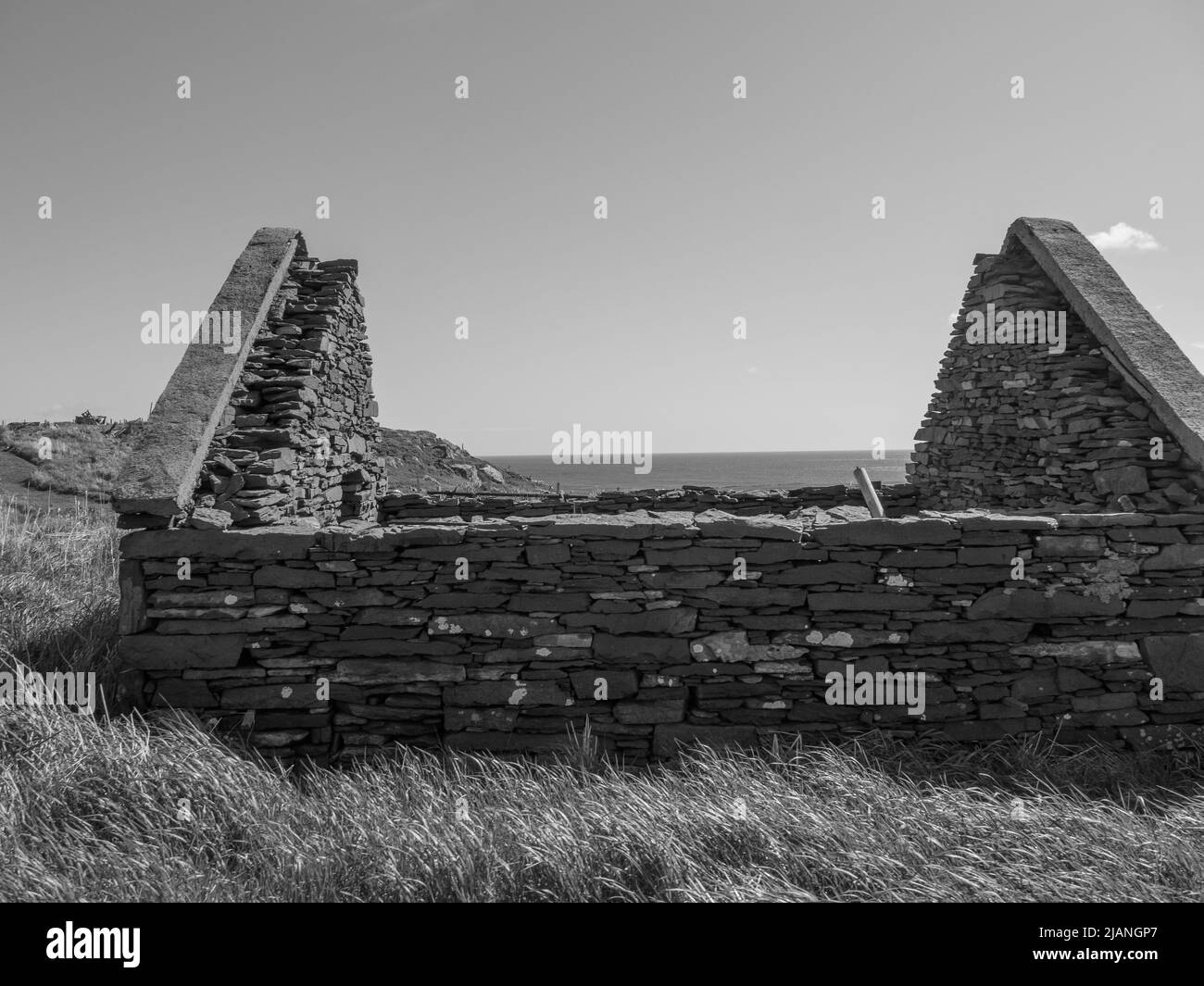 the Shetland island in scotland Stock Photo Alamy