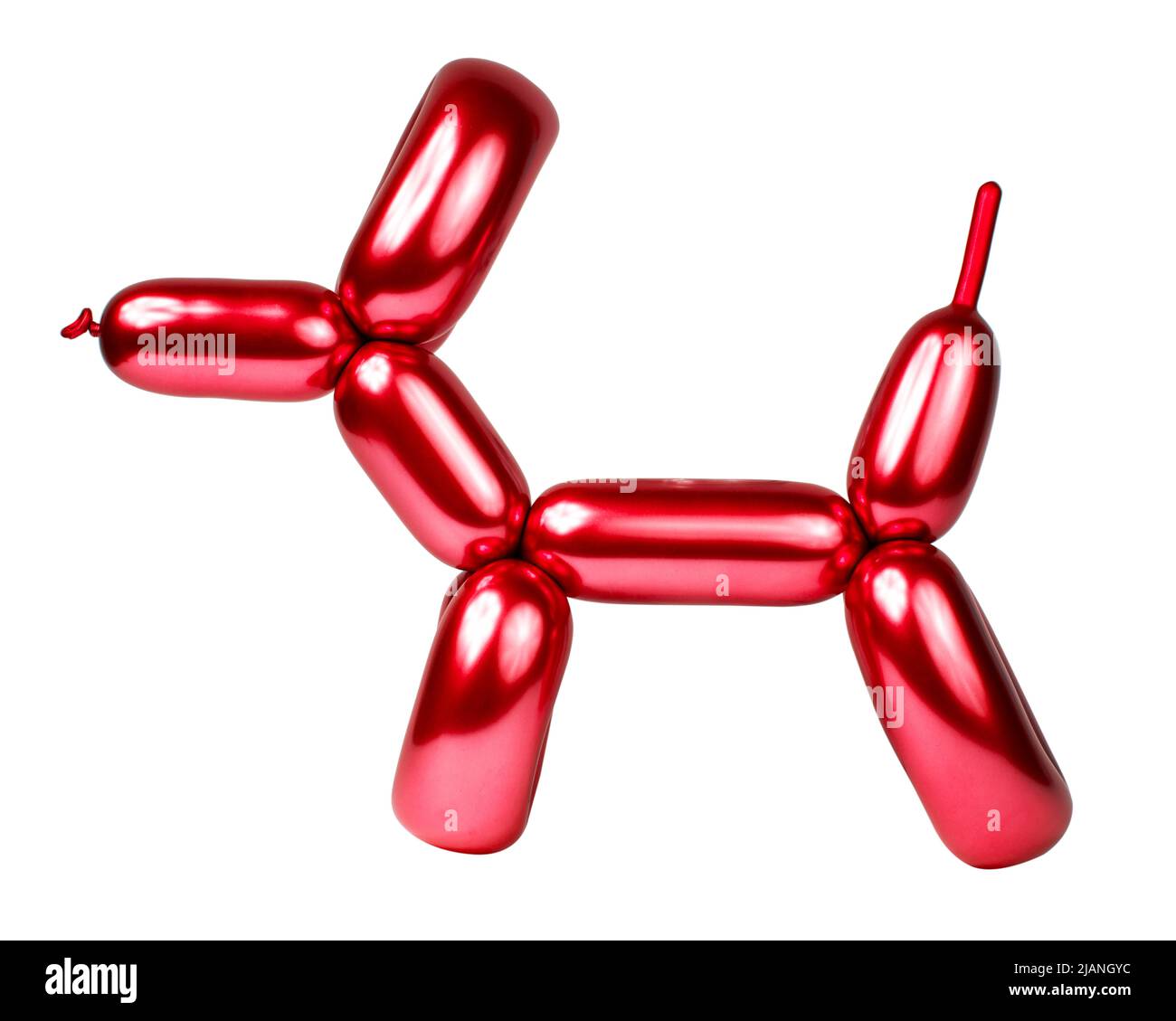 Shiny red balloon model dog isolated on the white background Stock ...
