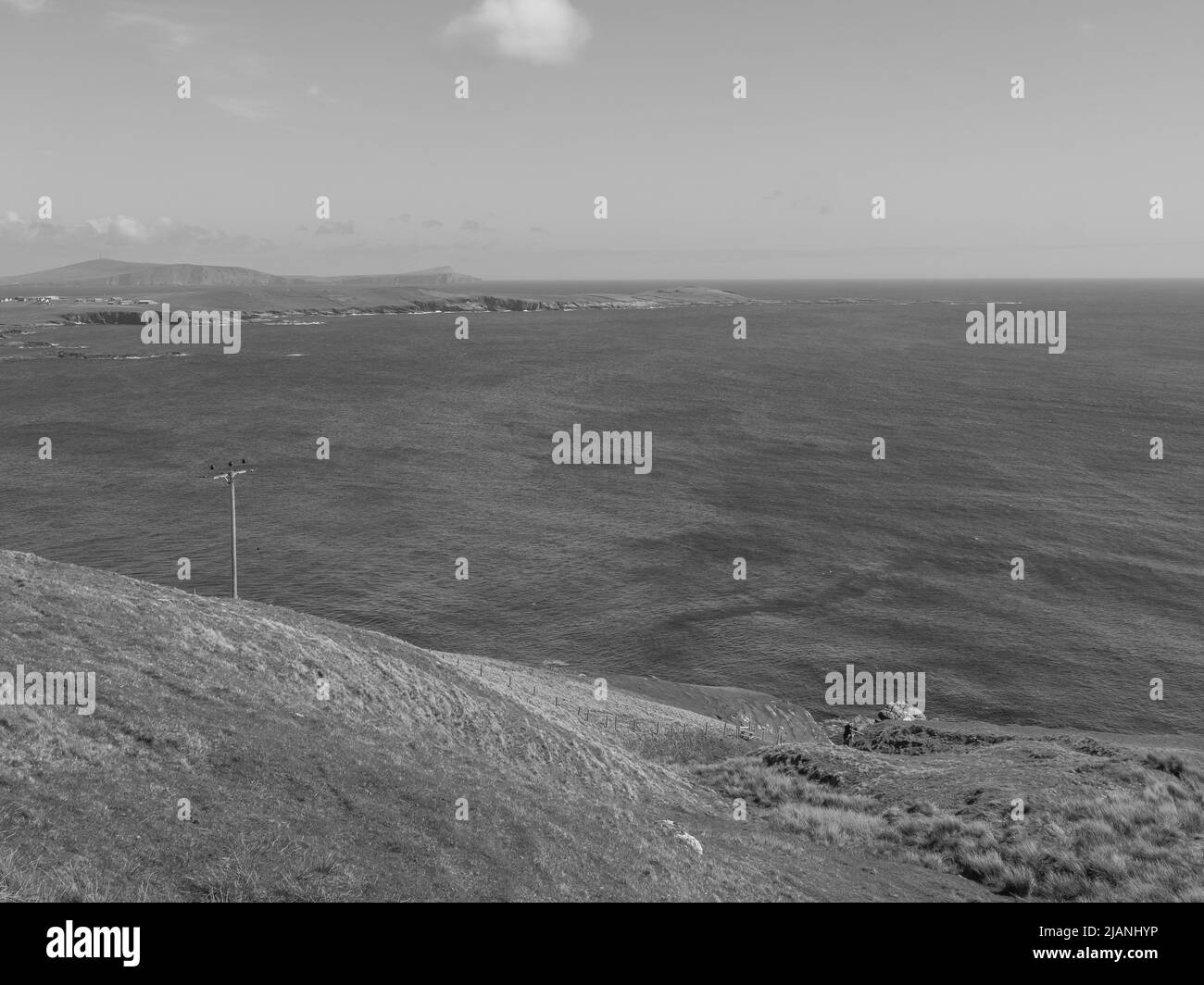 the Shetland island in scotland Stock Photo Alamy