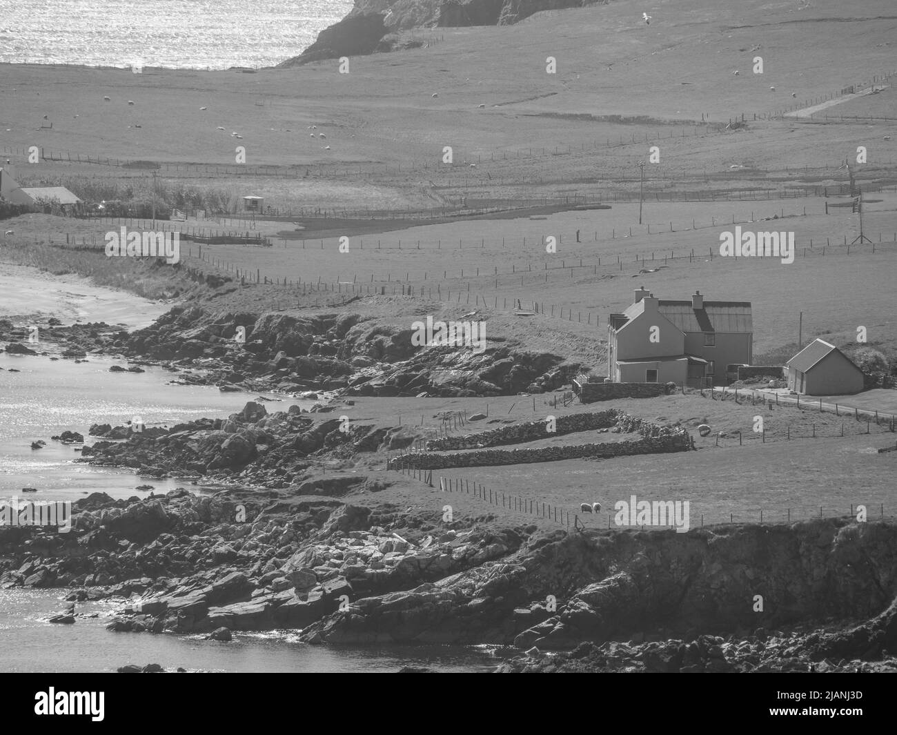 the Shetland island in scotland Stock Photo Alamy