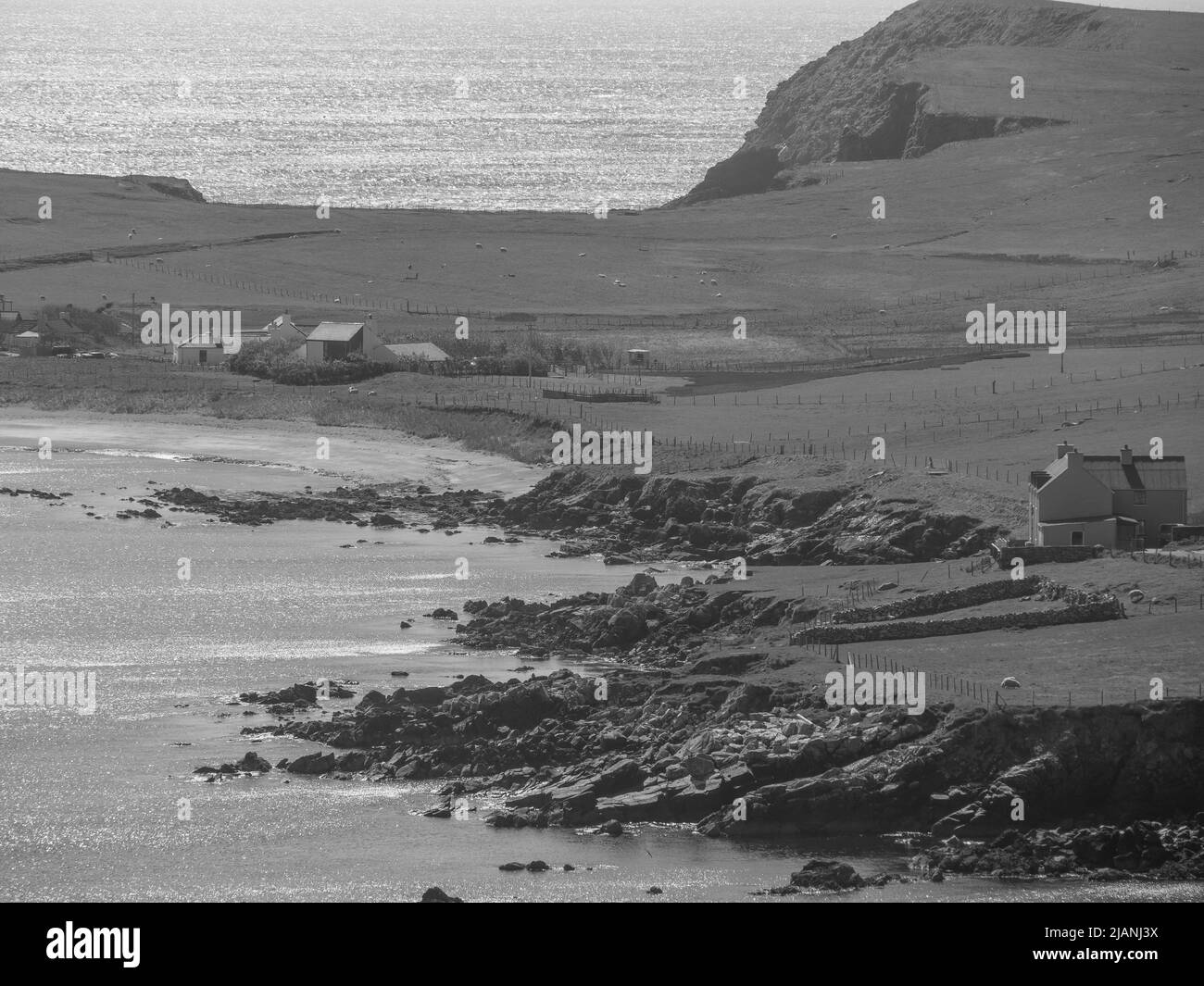 the Shetland island in scotland Stock Photo Alamy