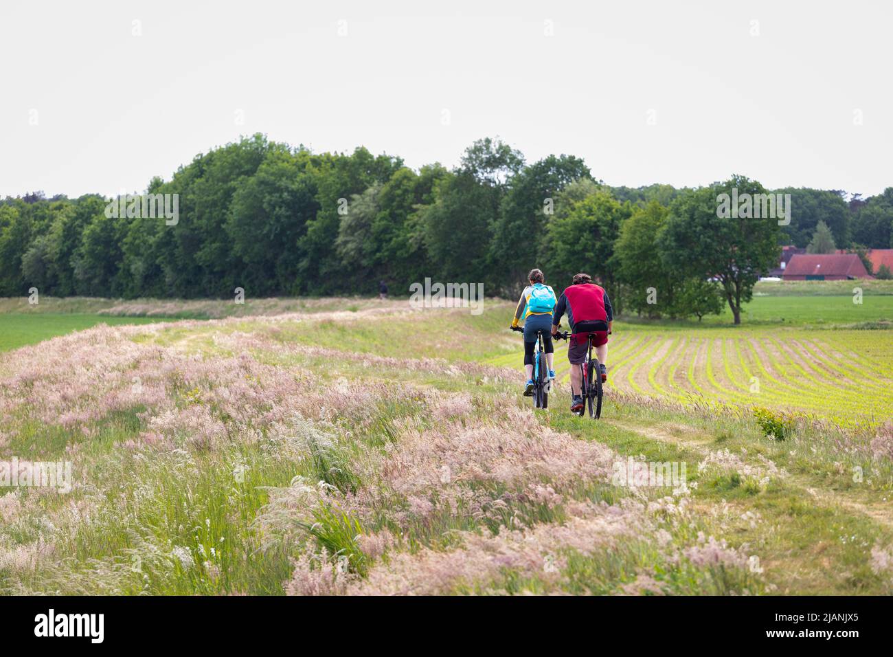 Couple cycling landscape Lower Saxony, Germany Stock Photo