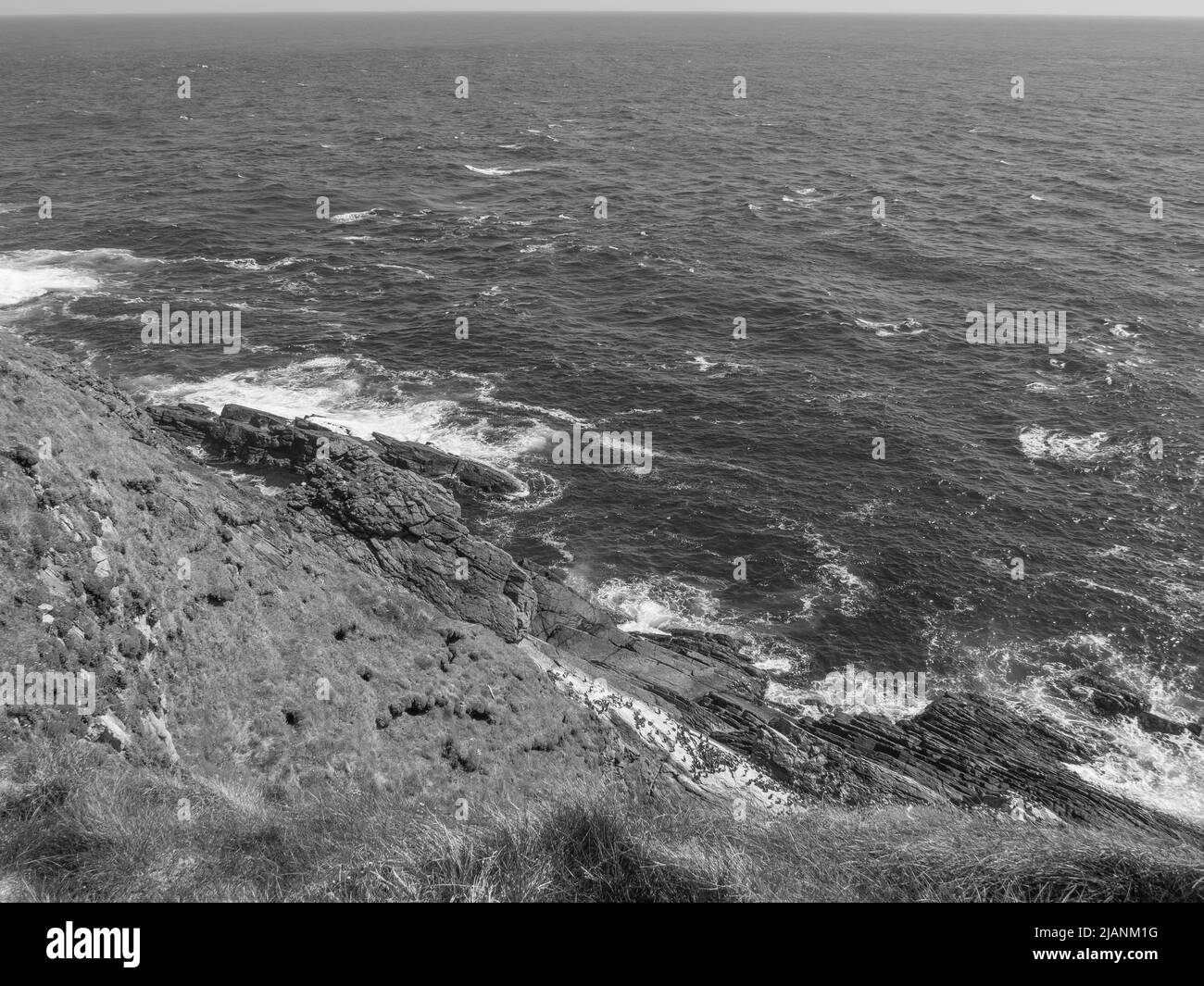 the Shetland island in scotland Stock Photo - Alamy