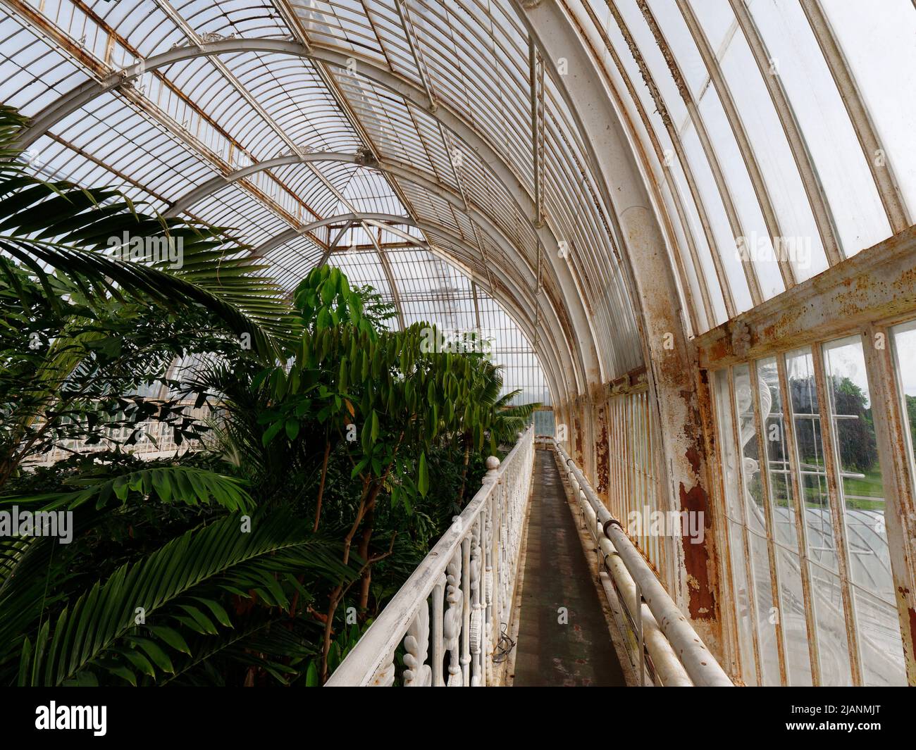 Richmond, Greater London, England, May 18 2022: Royal Botanic Gardens Kew. Palm House interior. Stock Photo