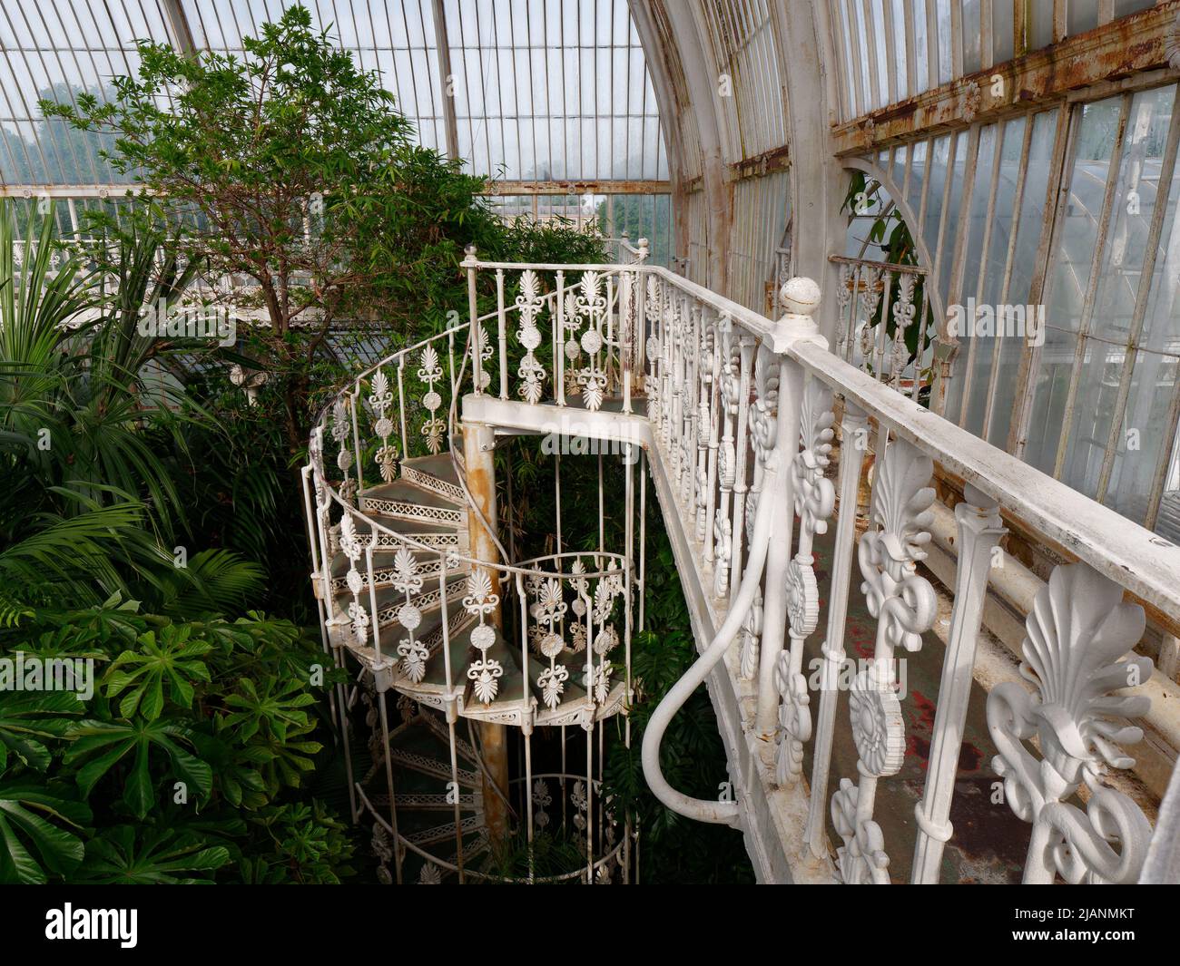 Richmond, Greater London, England, May 18 2022: Royal Botanic Gardens Kew. Palm House interior including a spiral staircase. Stock Photo